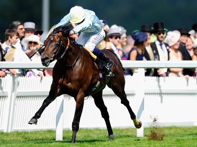 Ryan Moore winning at Royal Ascot in 2014 on a horse he rides today, Arab Spring